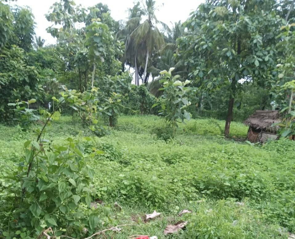 Prime 15 Perch Land for Sale in Katana – Facing Main Road