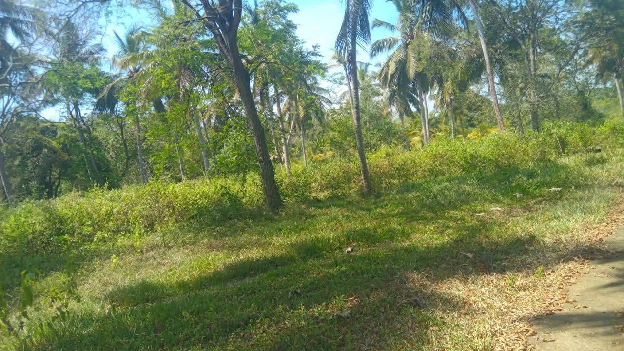 Property Thumbnail 5