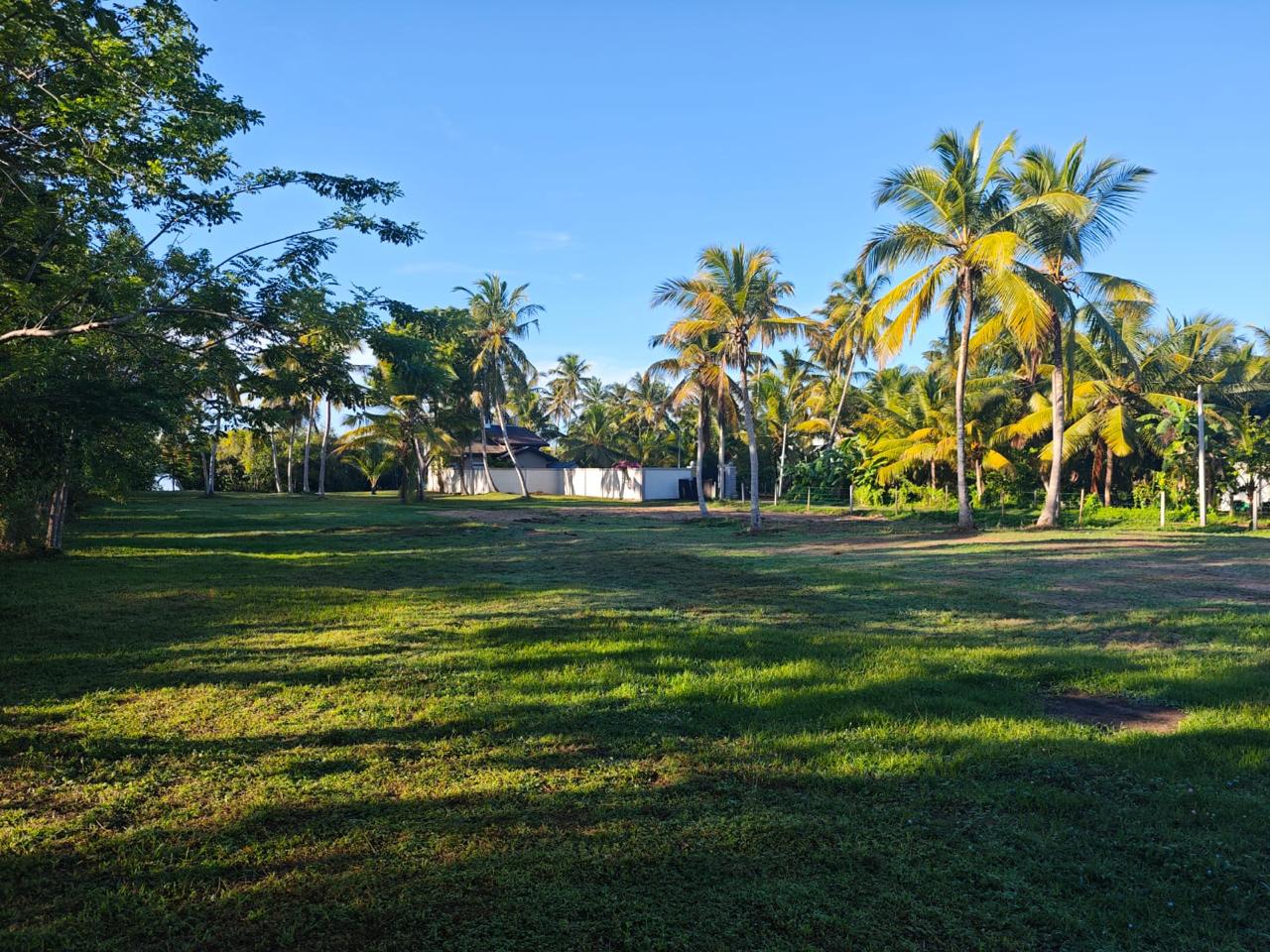 Property Thumbnail 5